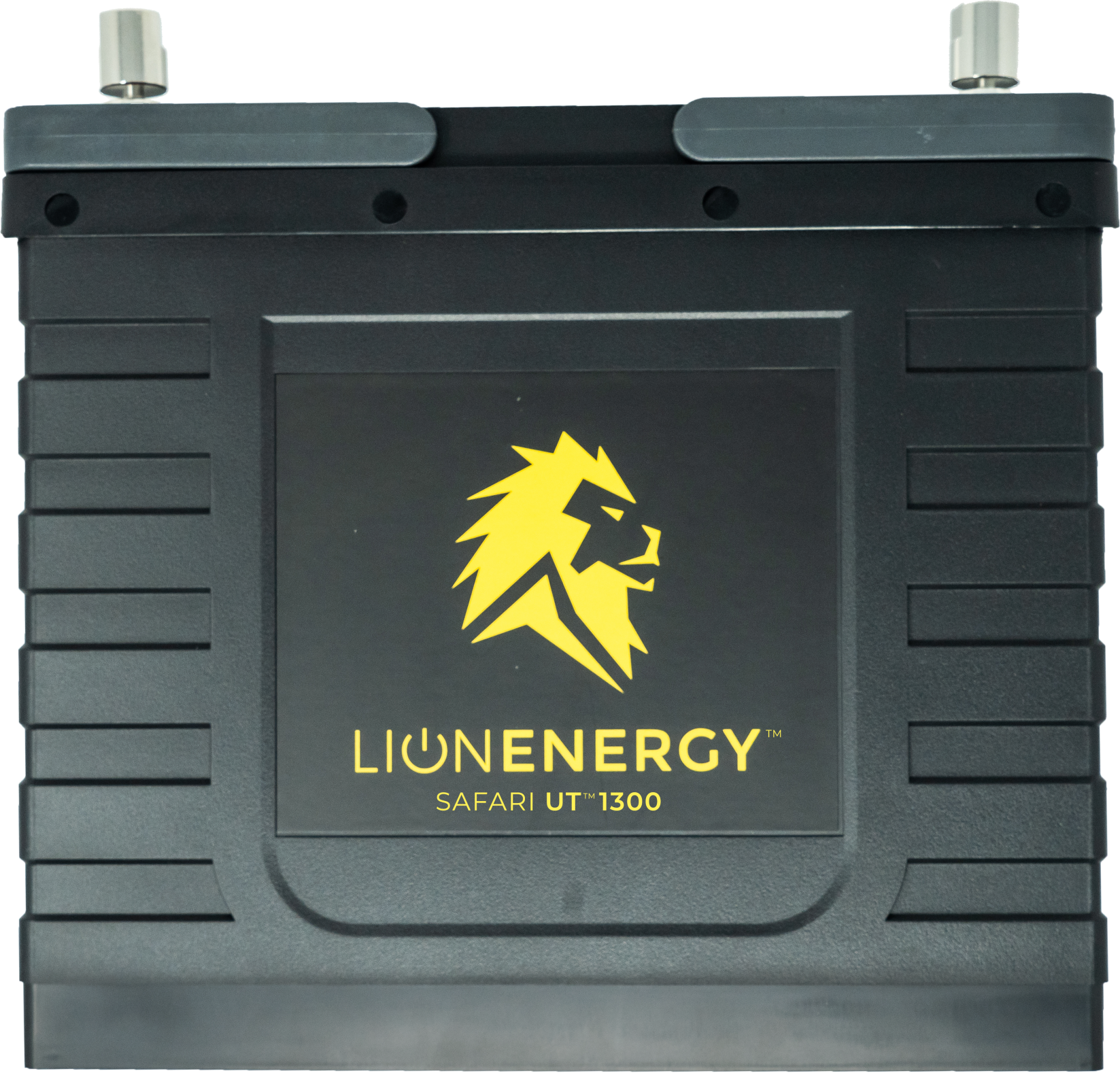 Gas-Based Generator vs. Lithium-Ion Battery  Lion Energy