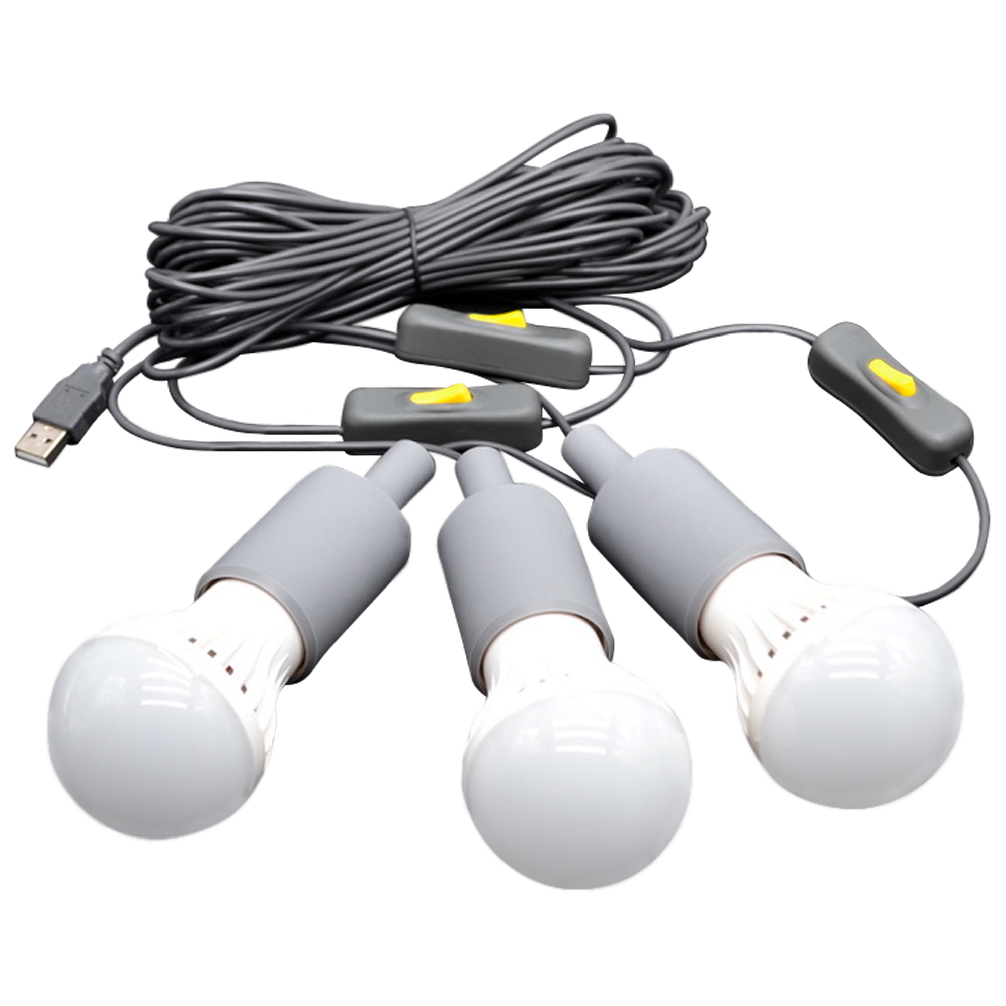 Lion Eclipse Travel Kit