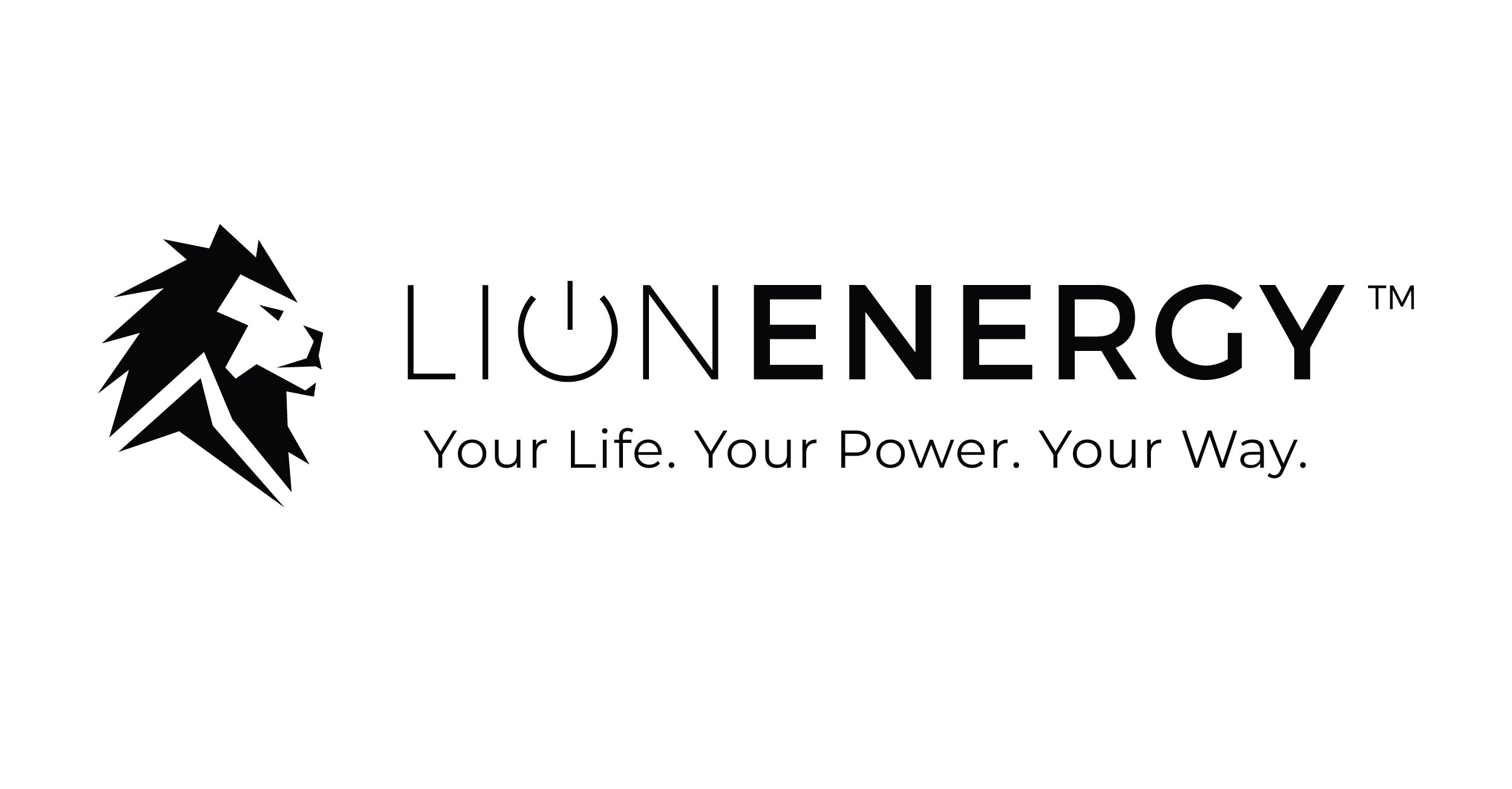 lionenergy.com