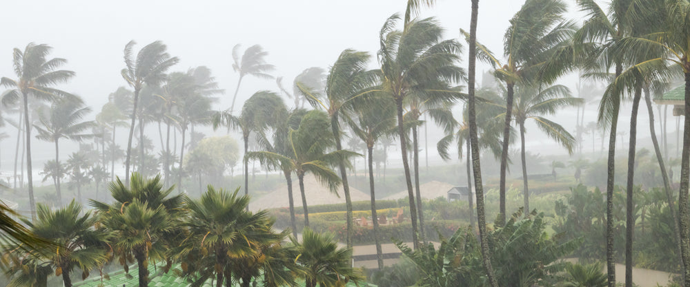 How to be Ready For Hurricane Season