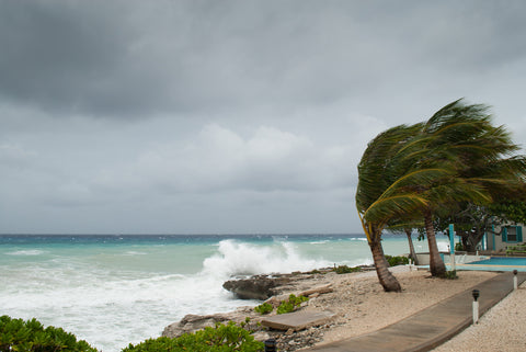 Preparing for Hurricane Season During COVID-19