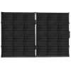 Lion 100W 24V Solar Panel - Factory Recertified