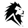 Authorized Lion Energy Dealer
