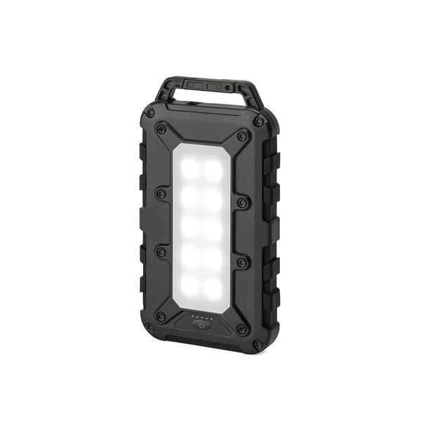 Lion Cub power bank