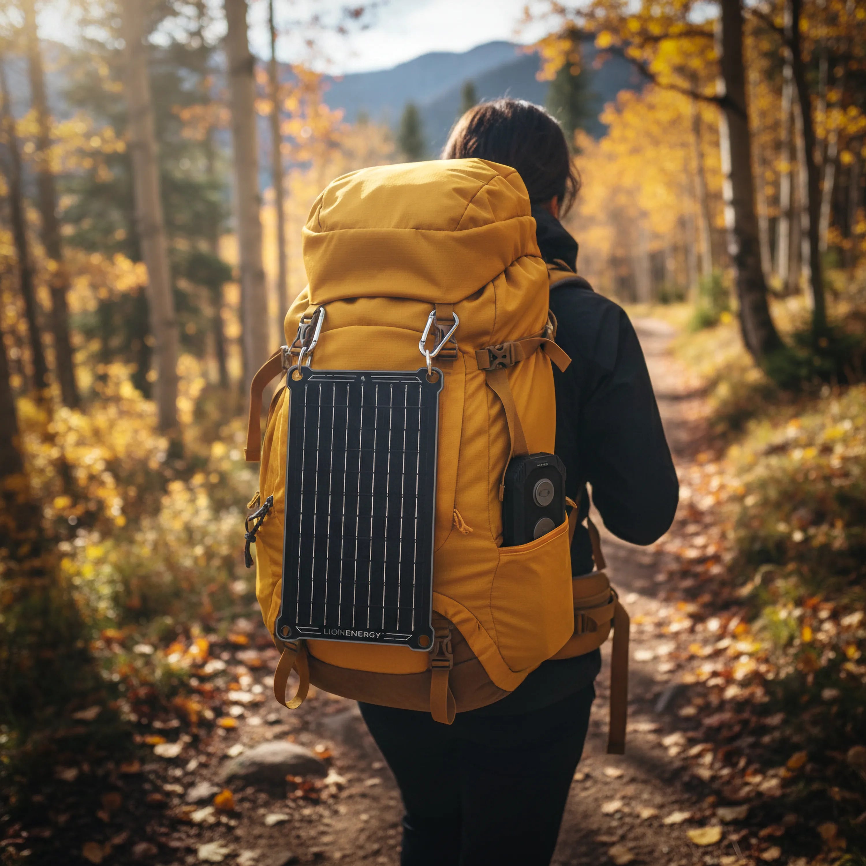 Lion Eclipse Mag Kit