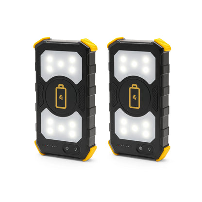 Lion Prowler 2-Pack