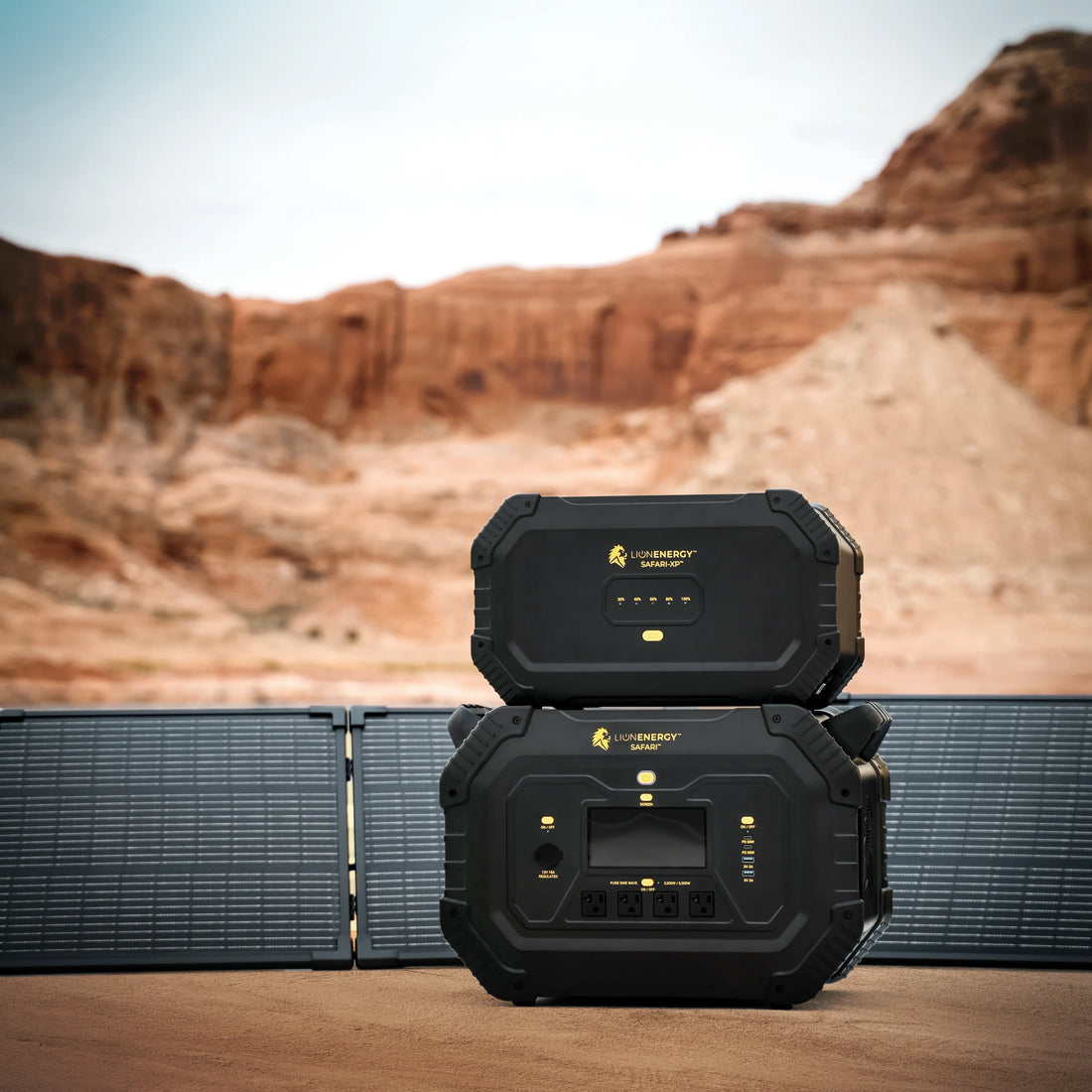 Lion Safari with XP Expansion Pack and solar panels in the desert