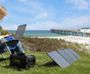 Lion 50W Foldable Solar Panel