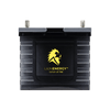 Lion UT 700 Battery (12V, 56Ah, LiFePO4)