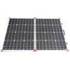 Solar Panel | Lion 100